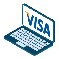 Details about the Visa payment system